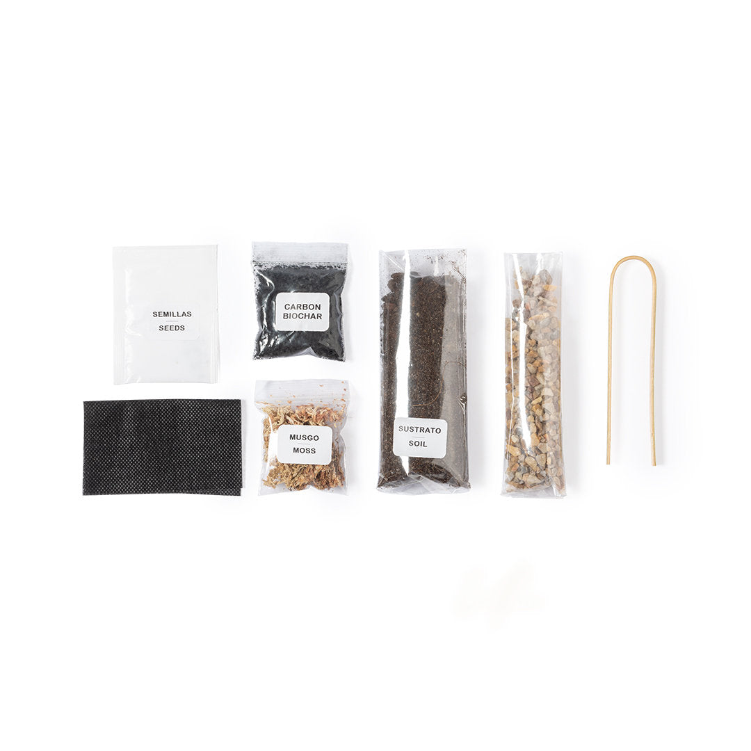 Terrário c/Sementes de Cactos KIKASA