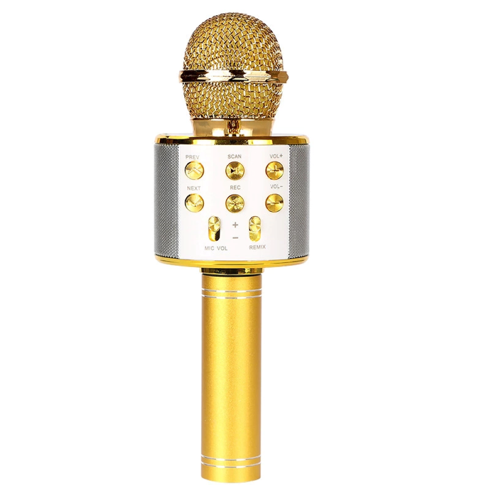 Microfone Karaoke Play&Party
