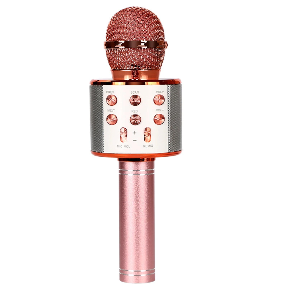 Microfone Karaoke Play&Party