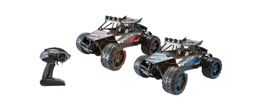 1:10 RC CAR 2.4GHZ High Speed Bigfoot Rech SPEEDRACER