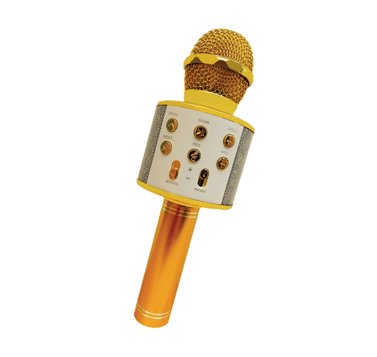Microfone Karaoke Play&Party II