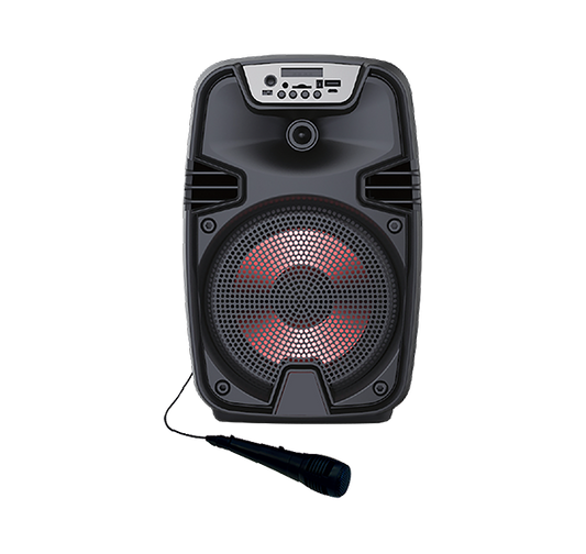 Coluna Karaoke com Microfone Play&Party