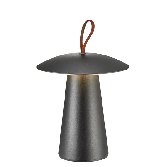 Ara-to-Go 2 Candeeiro de Mesa Recarregável