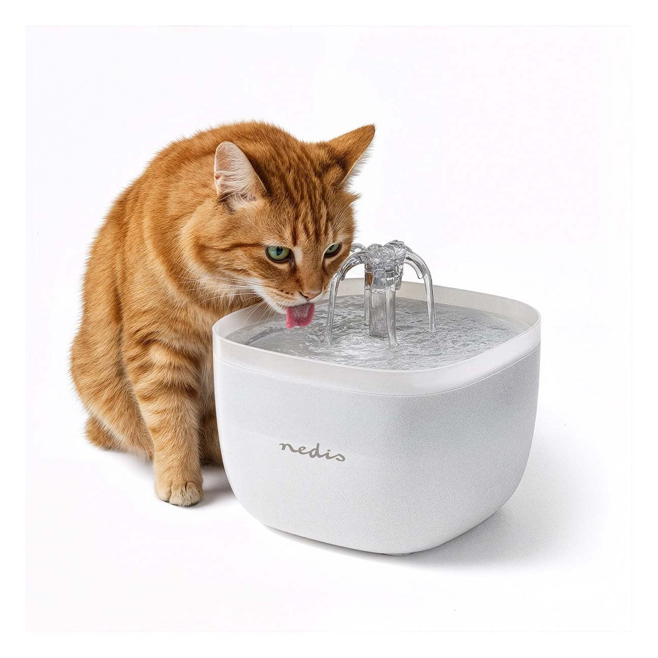 Bebedouro para Cães e Gatos 2L